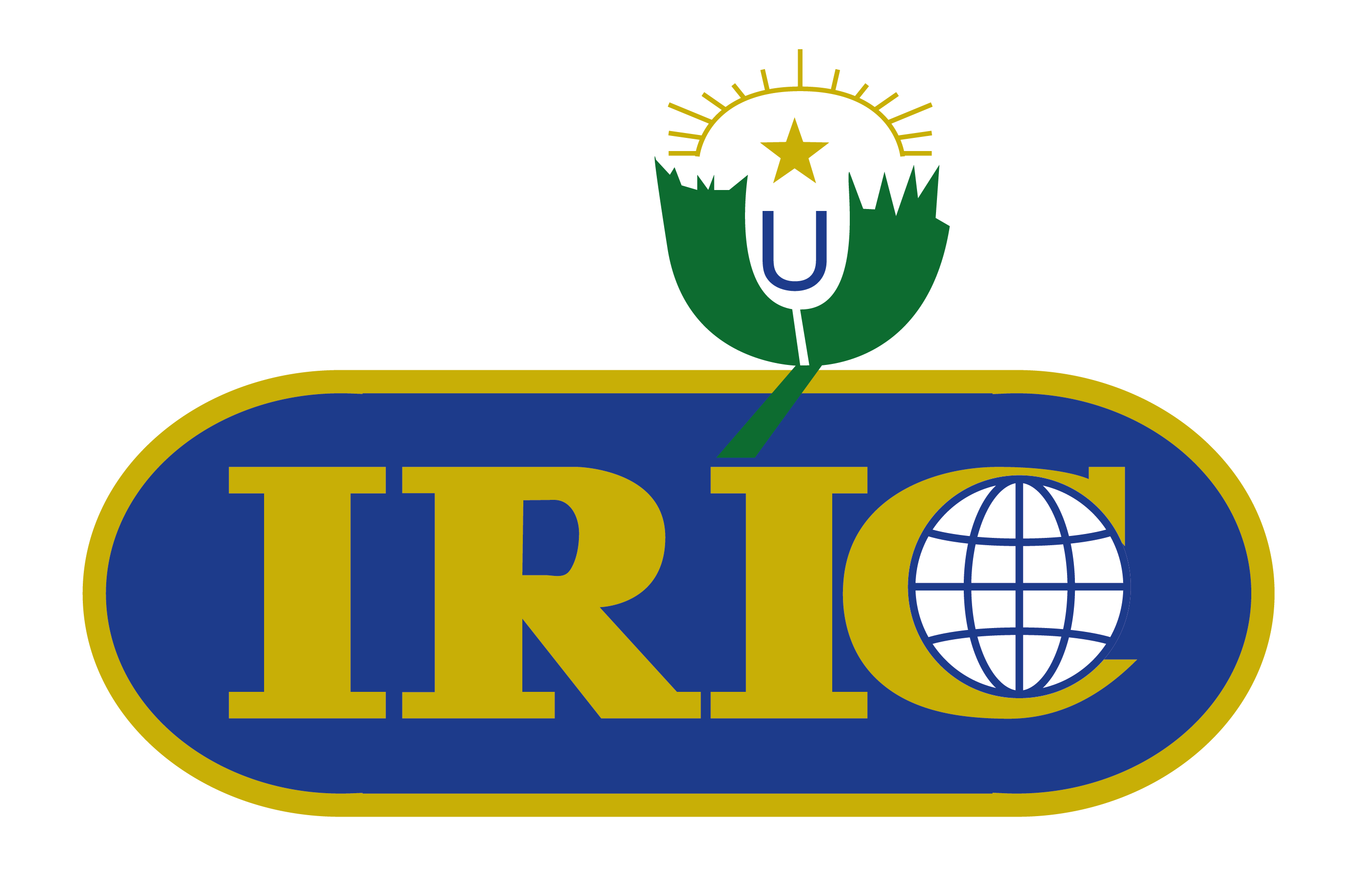 Institut des relations internationales du cameroun IRIC