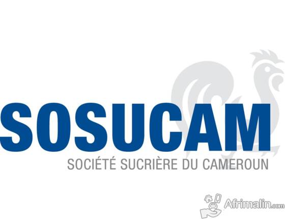 Socucam logo